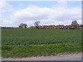 TM3876 : Fields & Houses off the B1117 Walpole Road by Geographer