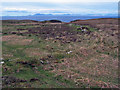 NG2466 : Moorland towards Waternish Point by Richard Dorrell