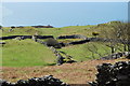  : The dyke builders were busy here by John Haynes