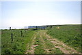 TA1974 : Headland Way, Bempton Cliffs by N Chadwick