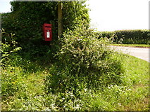  : Stalbridge: postbox № DT10 9, Copse House by Chris Downer