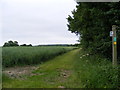 TM3872 : Footpath to Willow Marsh Lane by Geographer