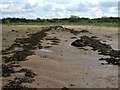 NS4273 : Supposed remains of a Roman causeway by Lairich Rig