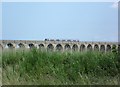 NT1172 : Train crossing the Almond Valley Viaduct by kim traynor