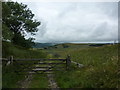 SK0375 : A Track off Goyt's Lane by Peter Barr