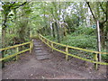 TM3865 : Footpath to Church Lane by Geographer