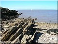 ST3971 : Rock outcrops in Littleharp Bay, Clevedon by David P Howard