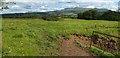 NS4984 : Field near Finnich Toll by Lairich Rig