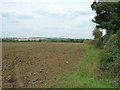 SP3049 : Ploughed field and hedgerow by David P Howard