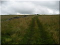  : Track on Hawkswick Moor by Chris Heaton