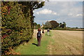 TL7920 : The Essex Way 87: approaching Cressing Church by Trevor Harris