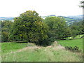 ST0234 : View down the 1 in 4 incline on the West Somerset mineral line by Sarah Charlesworth