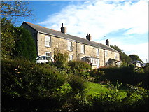  : Row of cottages at Trussall by Rod Allday