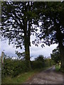 TM3469 : Bridleway to Low Grange Farm & Heveningham Long Lane & entrance to Lodge Farm by Geographer