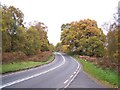 SJ9820 : A513 Near Shugborough by Geoff Pick