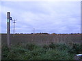 TM3066 : Footpath to the A1120 Carrs Hill by Geographer