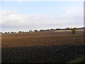 TM3565 : Fields at Rookery Farm by Geographer