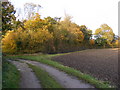 TM3565 : Footpath & entrance to Rookery Farm by Geographer