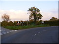 TM3664 : B1119 Rendham Road by Geographer