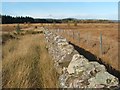 NS4784 : Dry-stone wall by Lairich Rig