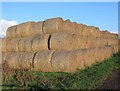 SP3953 : Hay bales near Dairy Farm by David P Howard