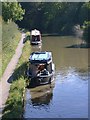 SP3364 : View from bridge 36, Grand Union Canal by David P Howard