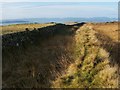 NS3678 : Dry-stone wall and earlier dyke by Lairich Rig