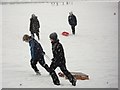 SP2872 : Sledging in Abbey Fields by John Brightley