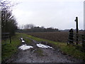 TM3664 : Footpath to Sweffling by Geographer