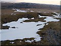  : Old Quarry on Wether Hill by Colin Gregory