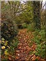 TM3191 : Bridleway towards Earsham by Glen Denny