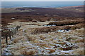 NT3148 : Northwards from Blackhope Scar by Jim Barton