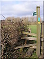 TM3669 : Footpath to Wood Farm by Geographer