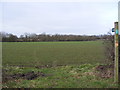 TM4066 : Footpath to the A12 Main Road by Geographer