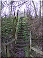 TM3763 : Footpath steps to the A12 Saxmundham Bypass by Geographer