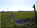 TM3971 : Footpath to Woodhill Farm & Yoxford Cemetery by Geographer