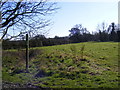 TM3870 : Footpath to The Lane, Yoxford by Geographer