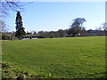 TM3968 : Yoxford Cricket Ground by Geographer