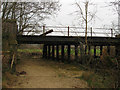 TQ4518 : Old Railway Bridge by Simon Carey