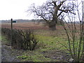 TM3459 : Footpath to Botany Lane by Geographer