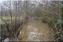 SO5075 : River Corve by the Shropshire Way by N Chadwick