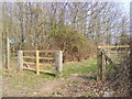 TM3761 : Bridleway to Kiln Lane (U2203) by Geographer