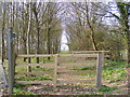 TM3761 : Bridleway to Deadman's Lane by Geographer