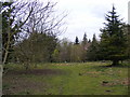 TM3660 : Footpath at Elm Tree Farm by Geographer