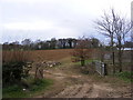 TM3760 : Footpath to Farnham by Geographer