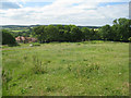 SY7994 : Grazing field north of Tolpuddle by Mr Ignavy