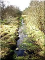  : A drain through Gask Wood by Stanley Howe