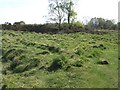 SJ9818 : Great War - Brocton Camp - Hut foundations Hut Line 'I' by John M