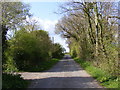 TM3268 : Pound Green Road, Badingham by Geographer