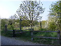 TM3263 : Footpath to the B1119 Saxmundham Road by Geographer